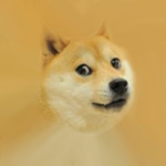 bfkjgbvkjvgvkvgvjvhgcgb