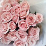 rose gardens