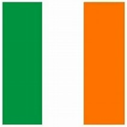 The Irish Experience