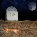 Raise a floppas funeral