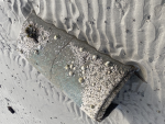 Rylee's Store