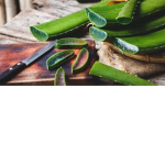 Slimy Things Group