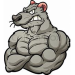 Buff Rats 2