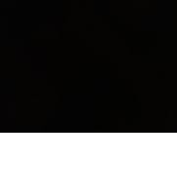Simulator