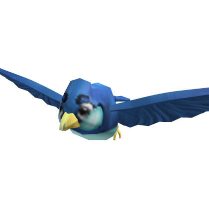 Following Bird Pet
