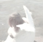 *| Angelic Stars |*