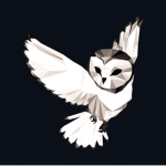 Owl Inc