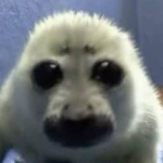 Seal lubbers