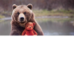 lil bears forever