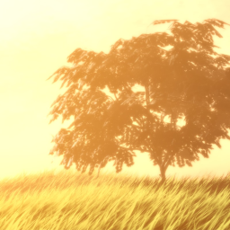 Realistic Hills