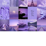 F a s h i o n - l a n d
