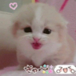 kwttns