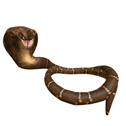 Brown cobra snake wrapped around neck Roblox item