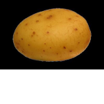 Lonely Potatoes