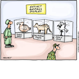 Operation: Save Animals! Training