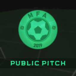 MFA || Public Pitch