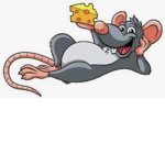 Wizard rat