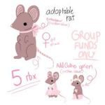 Rats & mouse & humans NO CATS!