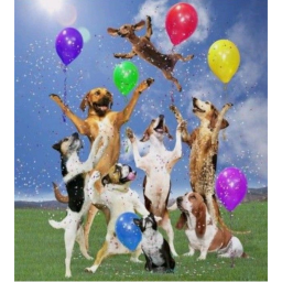 Kartui's Birthday