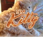 I’m kitty