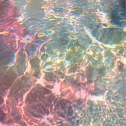 𝘢𝘭𝘰𝘩𝘢