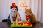 McWarriors (Wcue)