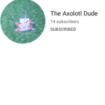 The blue axolotl studio.