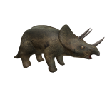 Triceratops on head