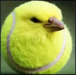 Tennis Stars People
