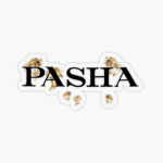 Die Pashas