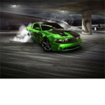 FORD Racing Gang