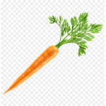 Carrot council