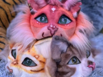 Kittycat team:3