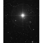 The stars of the seas