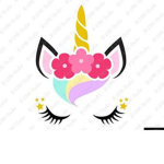 tiny Unicorn fans