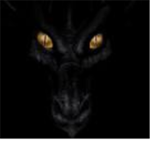 The Black Dragon ninga clan