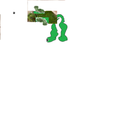 Survival The Turtle The Killer