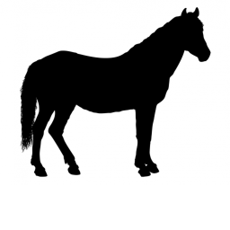 { Oakville Equestrian }'2