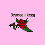 Process 8 Gang