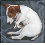 Remembering Choppy
