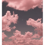 RosaWolken