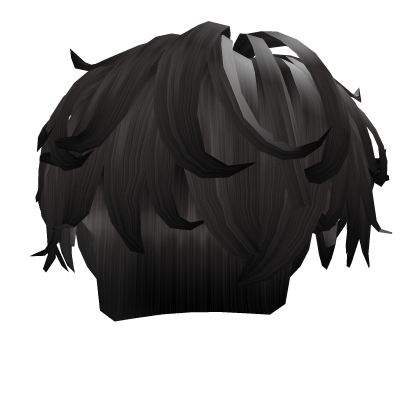 Black Hair Roblox item