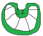 SpOrbtubular