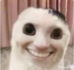 adorb1