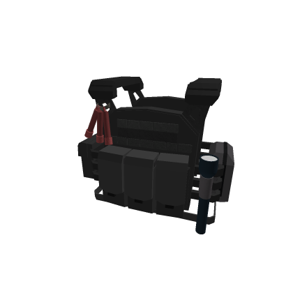 Vest