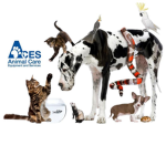 Aces Animal Care