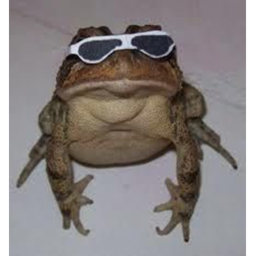 IDk