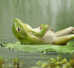 Bella's Bank United