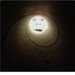 don’t ask for robux