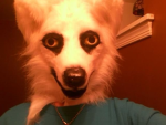 fantasticfurry